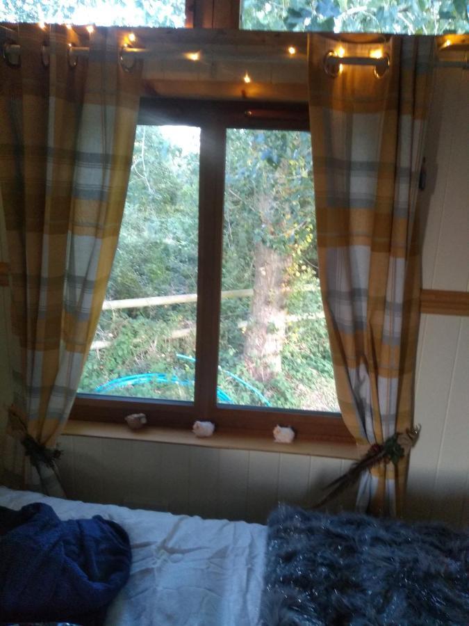 Glamping Malvern Shepherd Hut 外观 照片