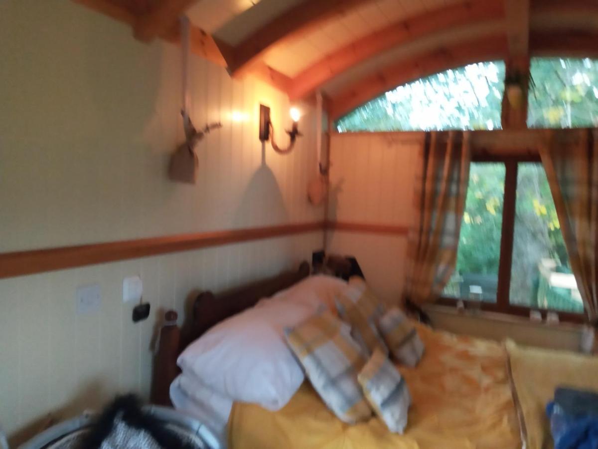 Glamping Malvern Shepherd Hut 外观 照片